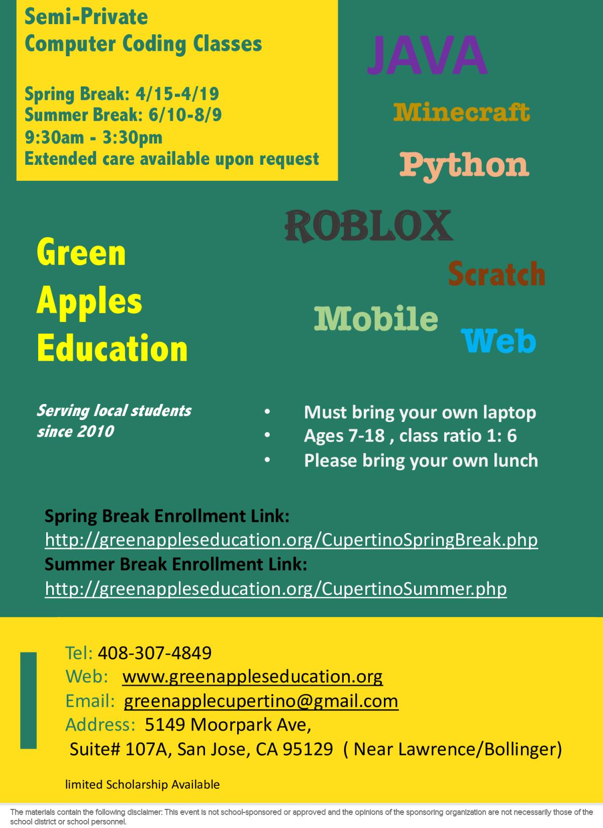 Peachjar Flyers - image of a flyer titled learn coding at green apples education